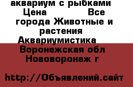 аквариум с рыбками › Цена ­ 15 000 - Все города Животные и растения » Аквариумистика   . Воронежская обл.,Нововоронеж г.